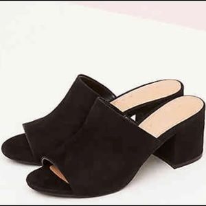 Kelly & Katie Borea Black Faux Suede